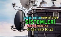 Next&Nexstar Çanak Anten 65cm 