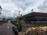 Diyarbakır Balık Evi