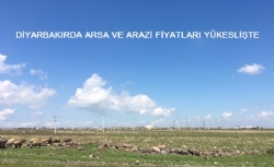 Diyarbakır Arsa ve Arazi Fiyatları Yükseldi!