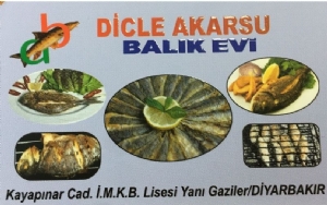 Diyarbakır Dicle Akarsu Balık