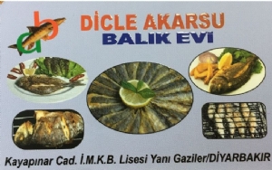 Diyarbakır Dicle Akarsu Balık