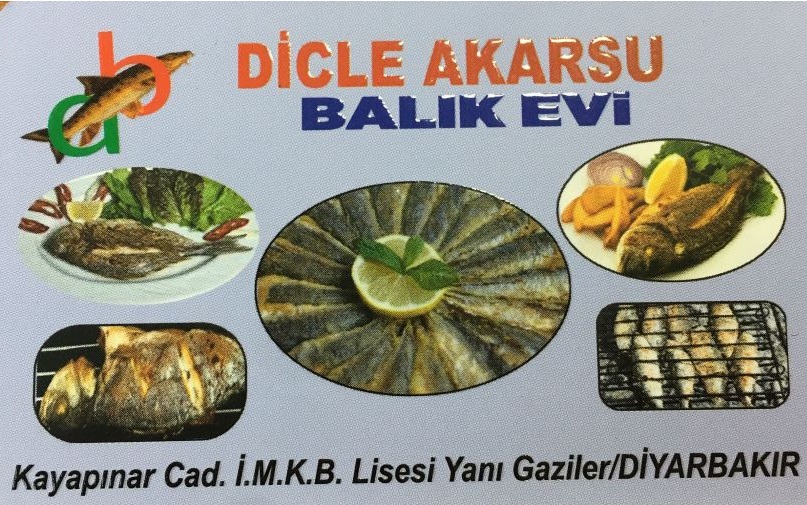 Diyarbakır Dicle Akarsu Balık